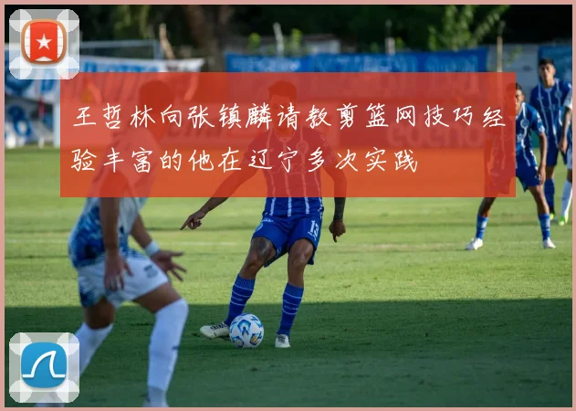 王哲林向张镇麟请教剪篮网技巧经验丰富的他在辽宁多次实践