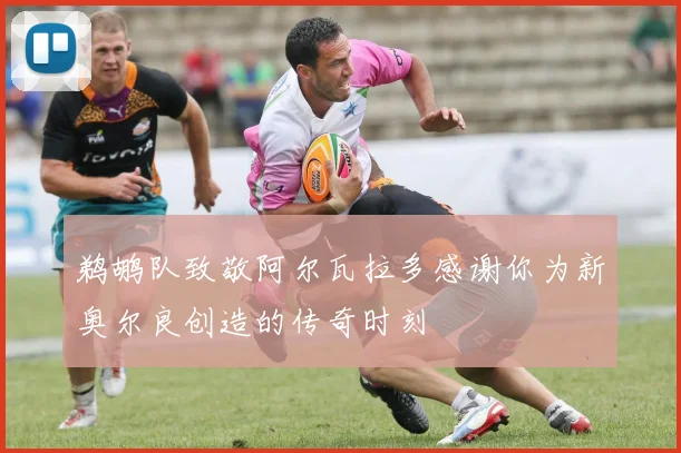 鹈鹕队致敬阿尔瓦拉多感谢你为新奥尔良创造的传奇时刻